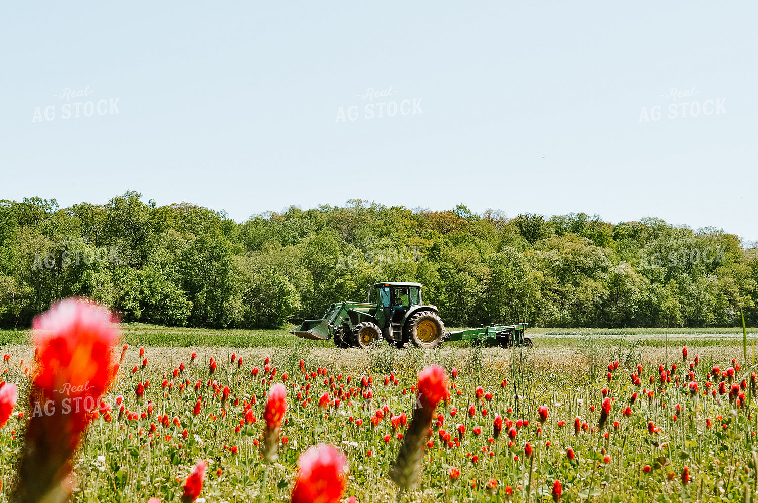 Cutting Hay 125027