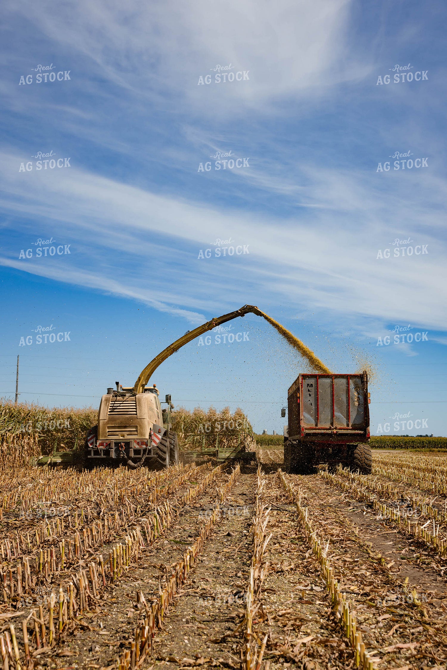 Silage Harvest 152291