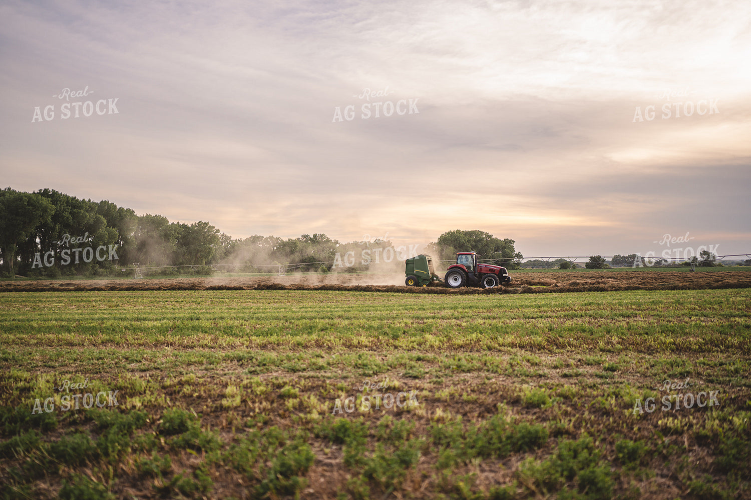 Baling Hay 196050