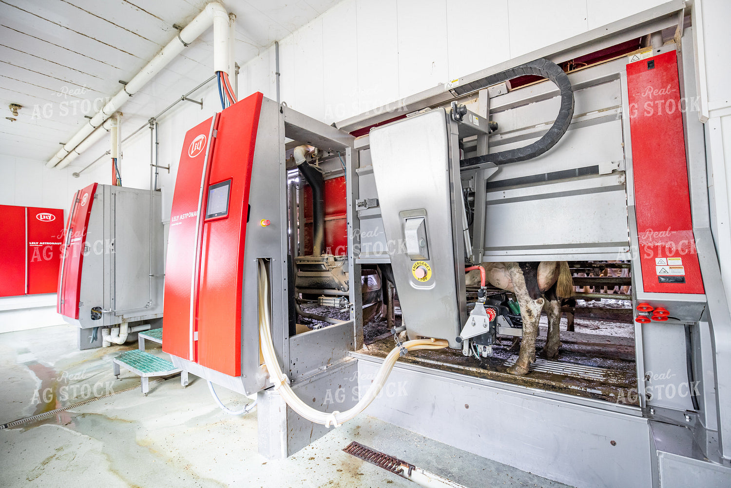 Robotic Milking Unit in Use 270138