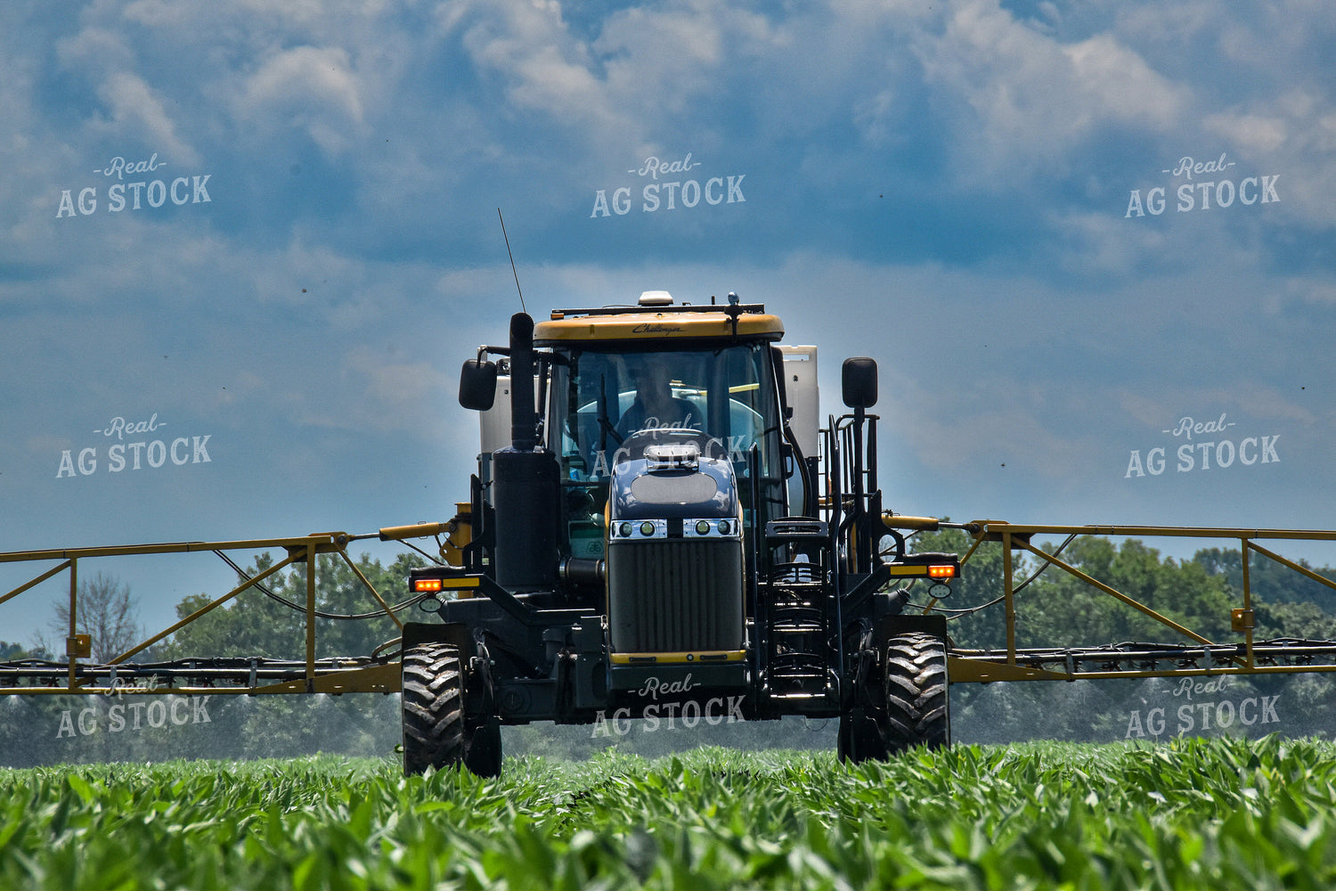 Spraying Soybeans 84120