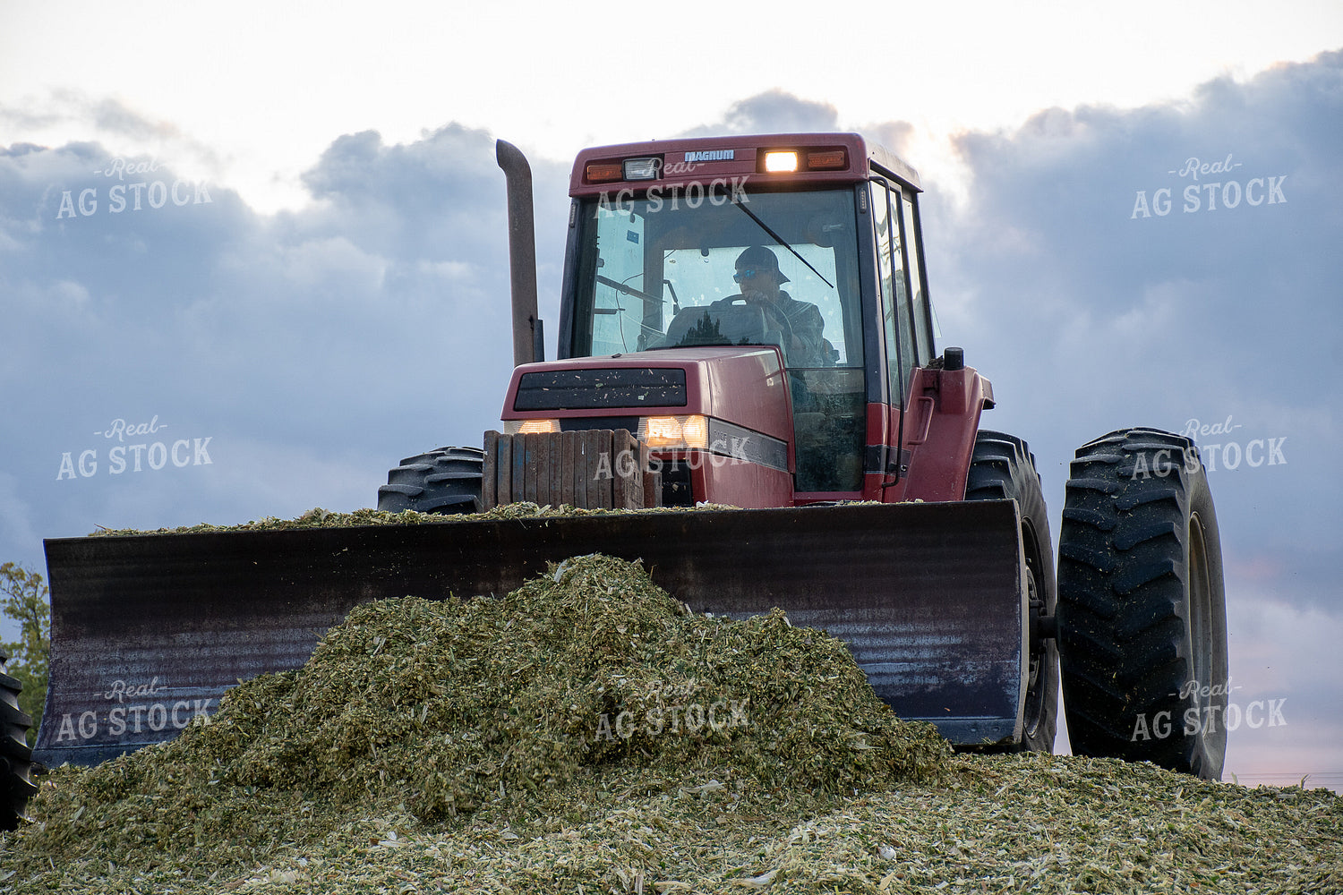 Tractor Getting Animal Feed 50235