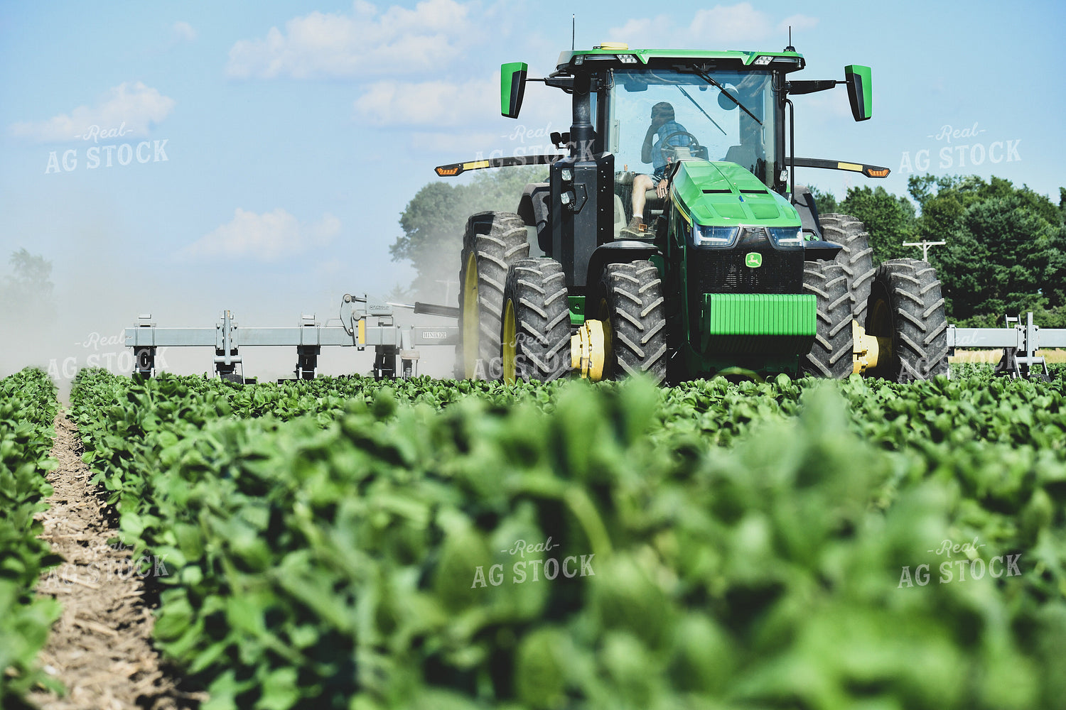 Ridge Tilling Between Rows of Soybeans 86006