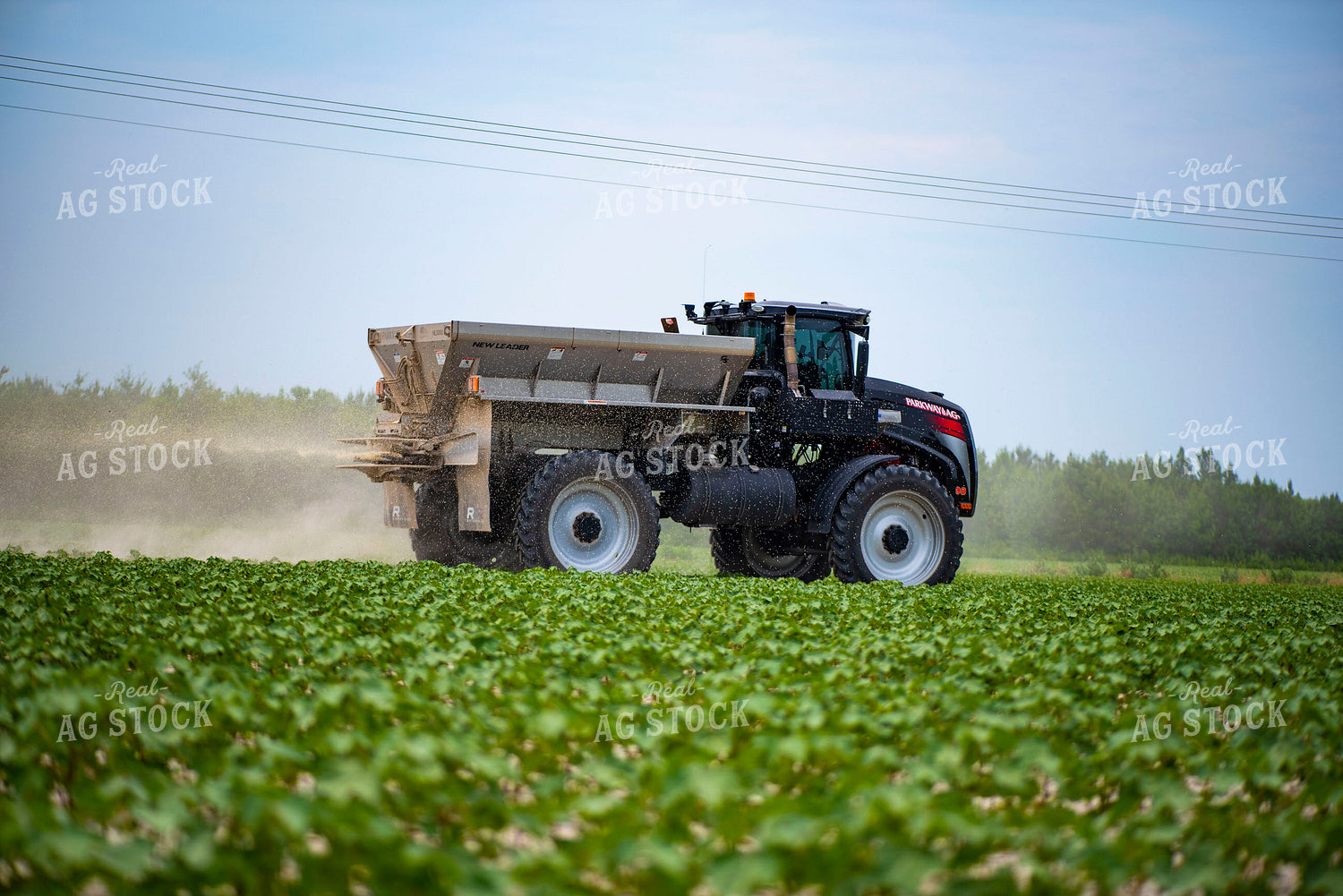 Spreading Dry Fertilizer in Cotton Field 136219