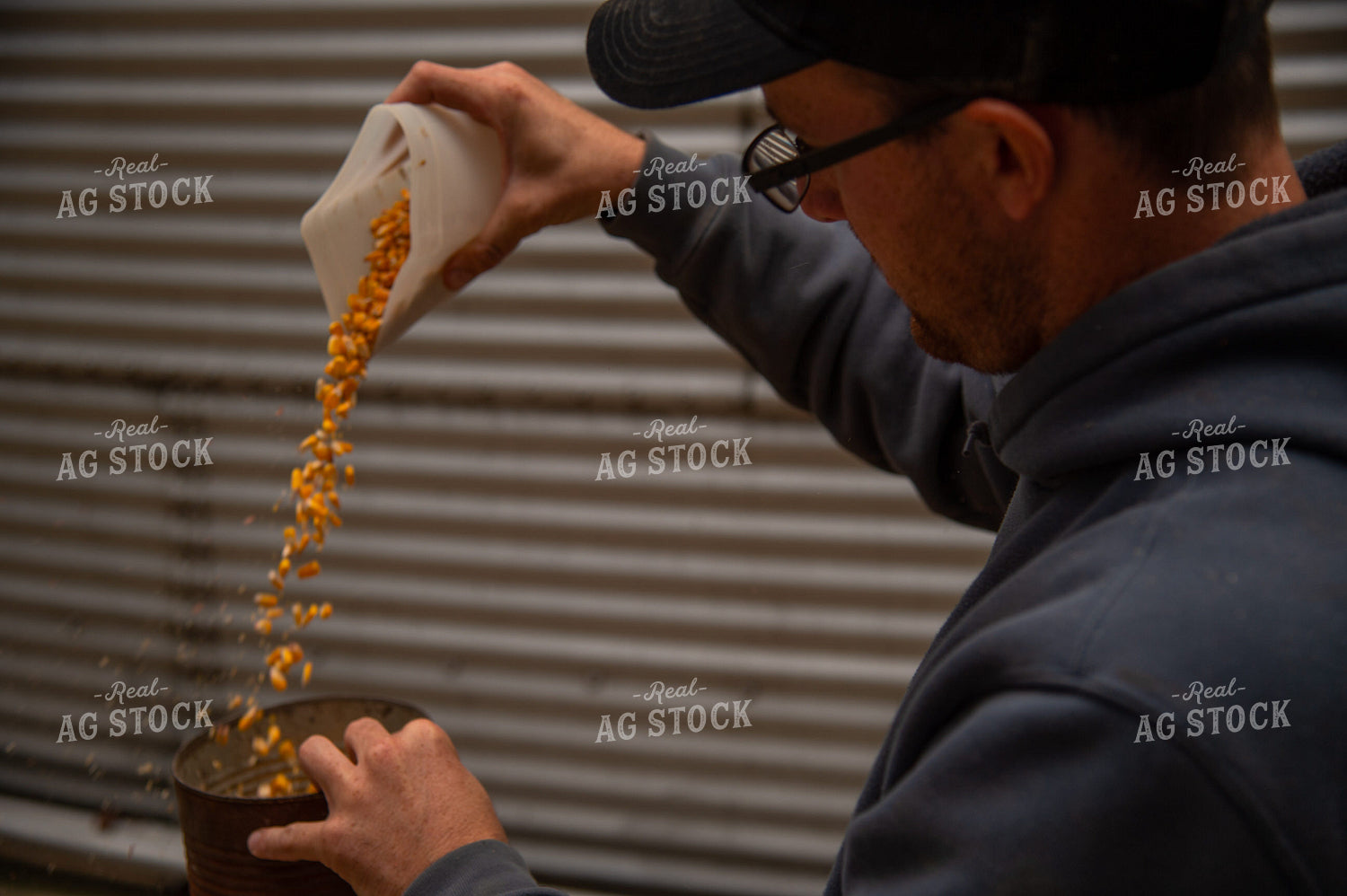 Farmer Testing Corn Moisture On-farm Storage 25554