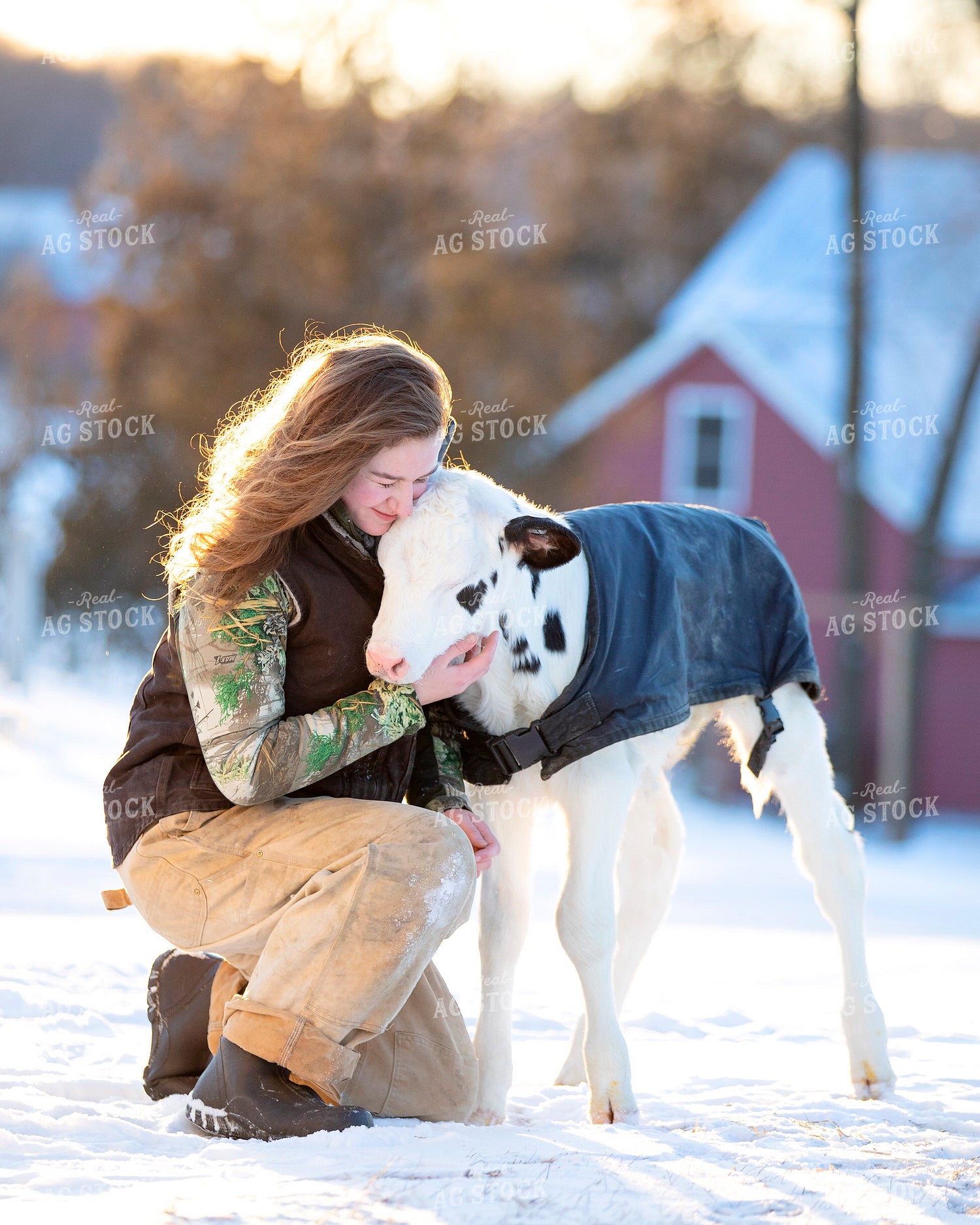 Holstein Calf with Farmer 55006