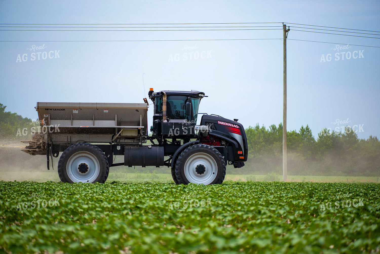 Spreading Dry Fertilizer in Cotton Field 136218