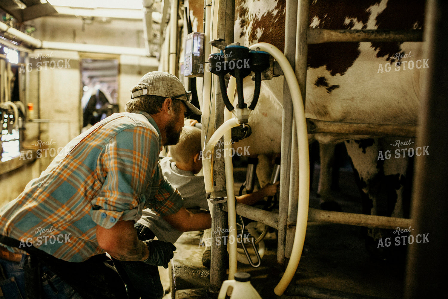 Dairy 2738
