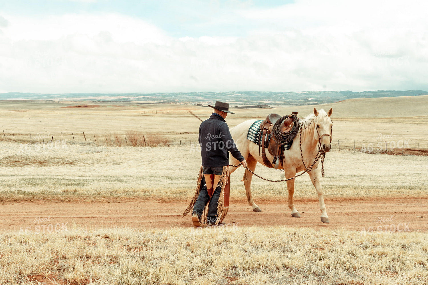 Rancher with Horse 58045