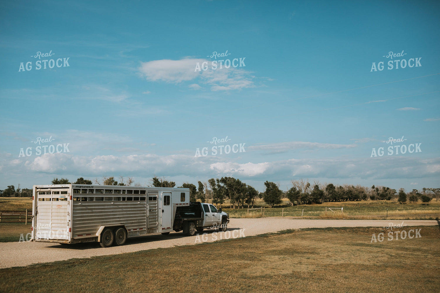 Livestock Trailer 6370
