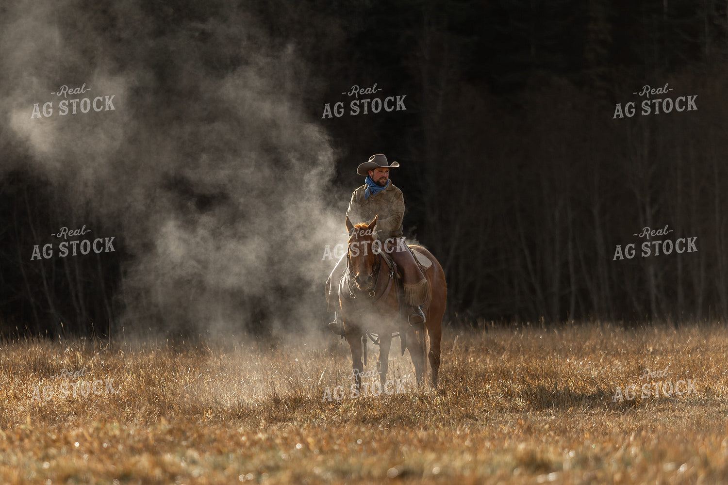Cowboy on Horseback 188155
