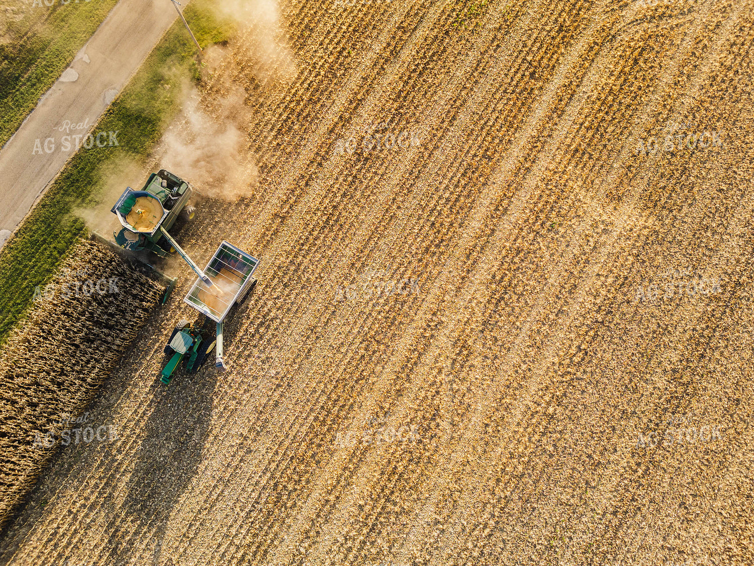 Overhead of Corn Harvest 115385