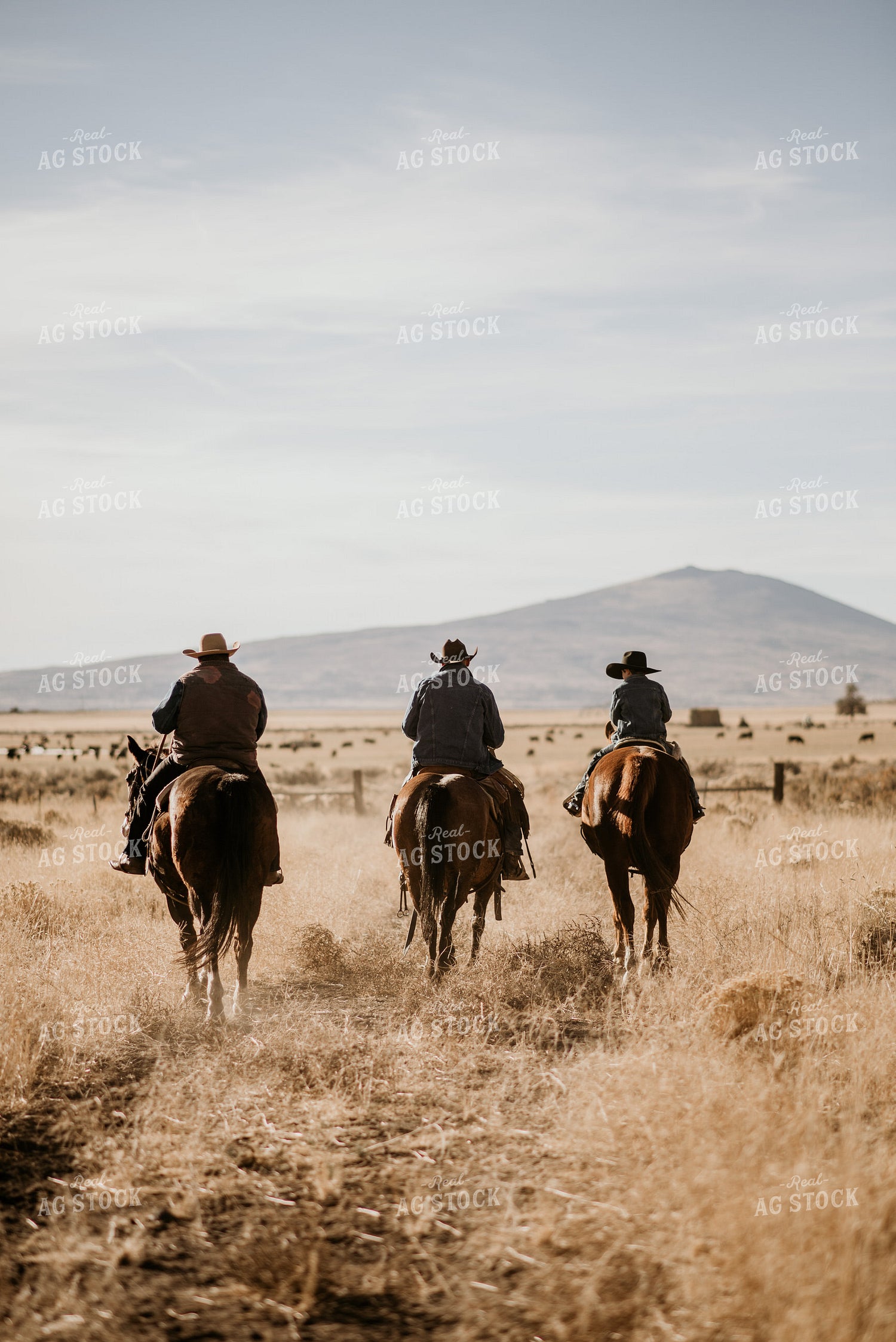 Ranchers on Horses 54036