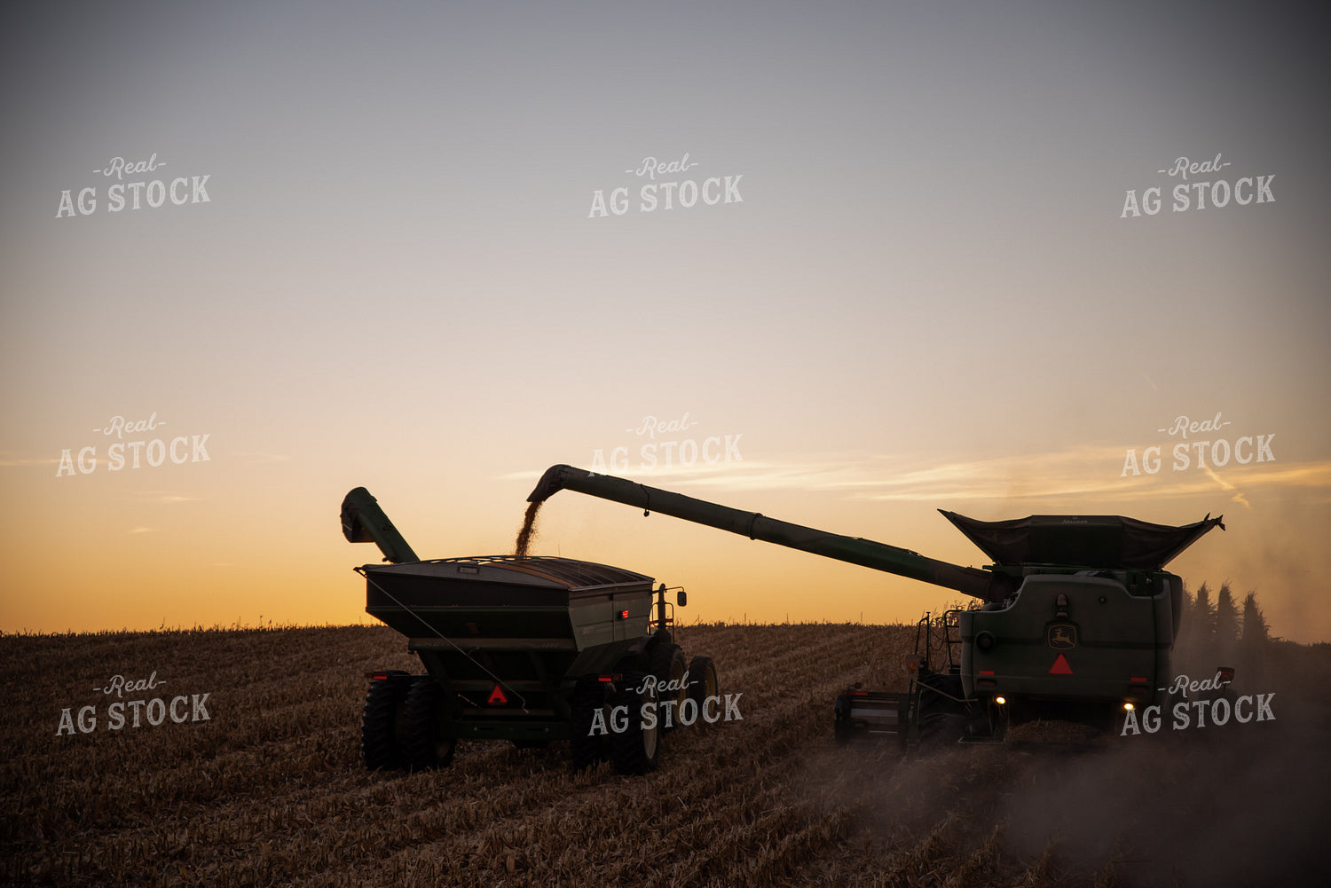 Corn Harvest at Dusk 76305