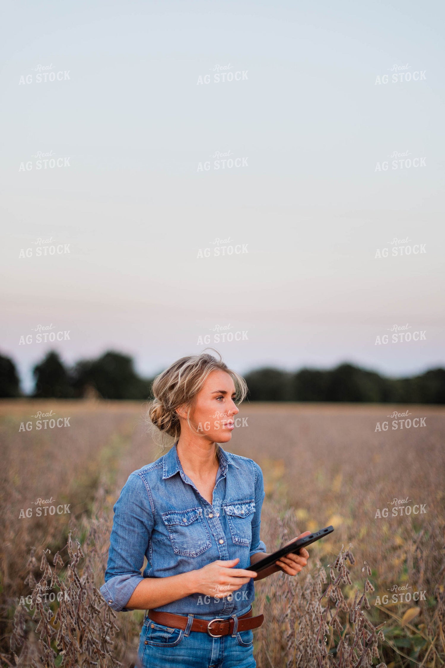 Female Farmer on Tablet in Field 8371