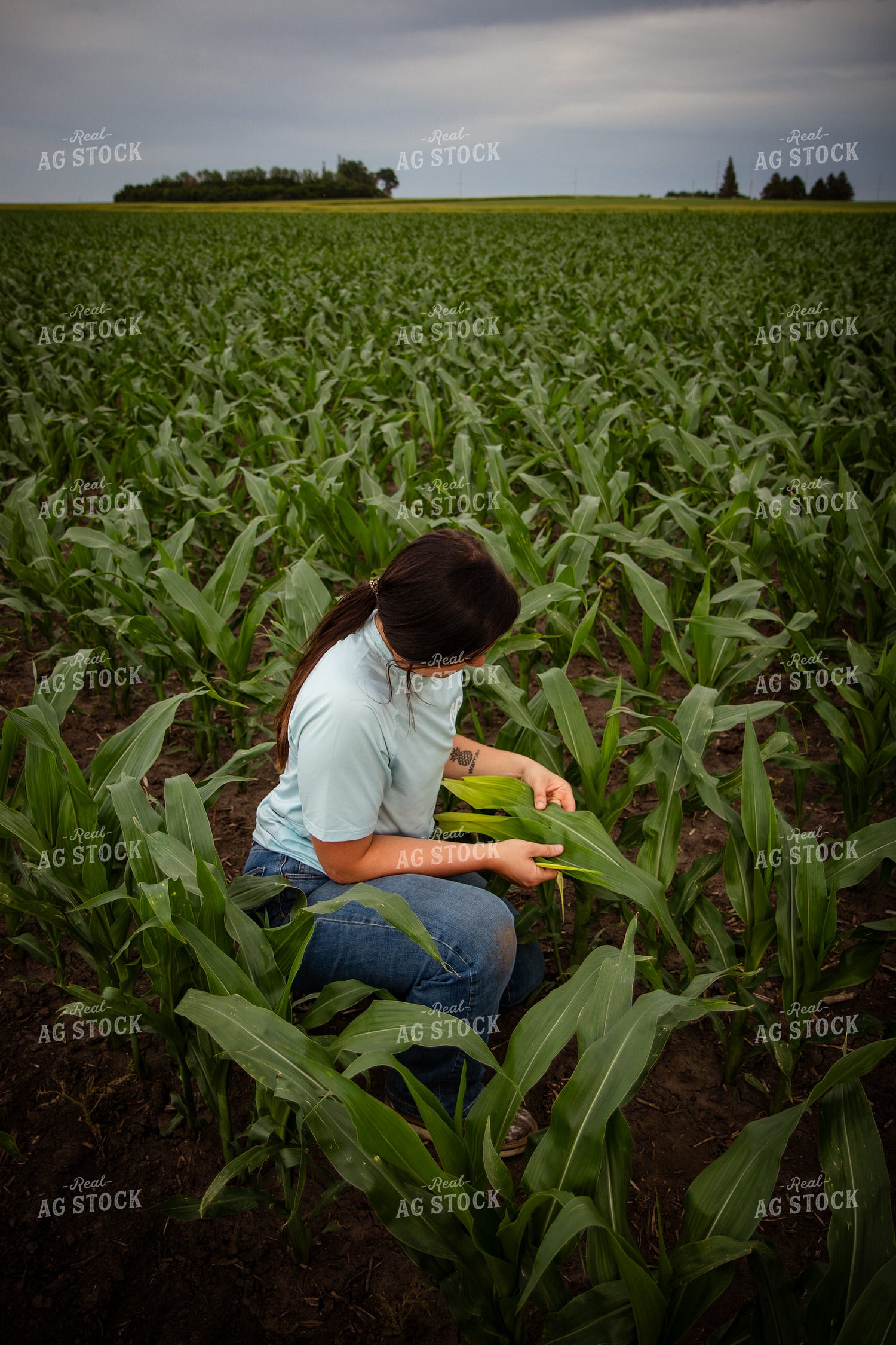 Female Farmer Tissue Sampling 67725