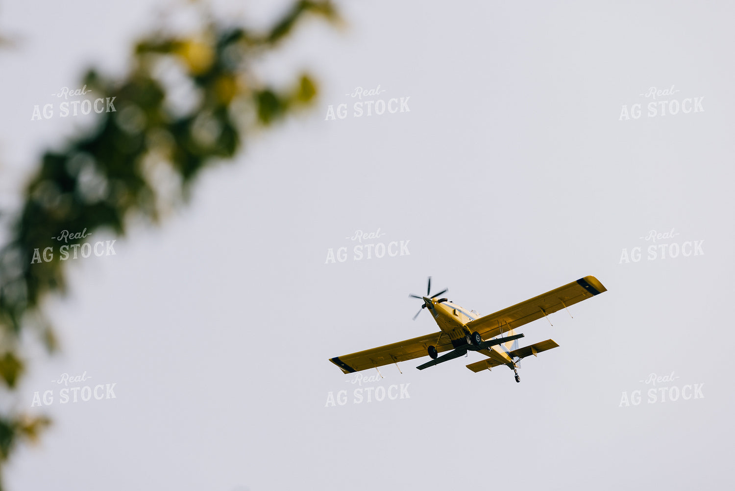 Crop Duster 178076