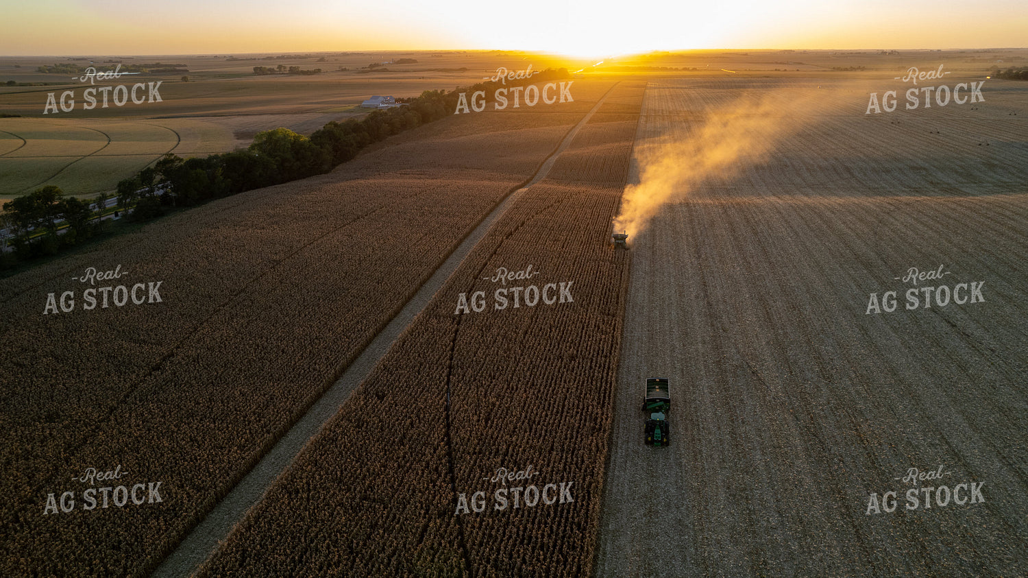 Aerial Corn Harvest 65041