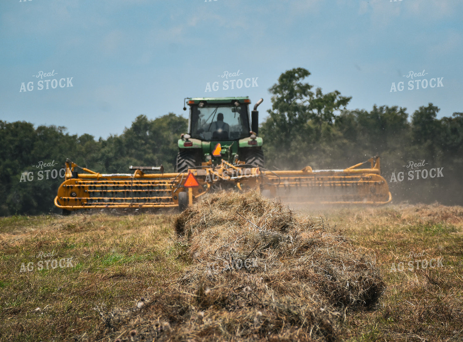 Freshly Raked Hay with Tractor and Rake in Background 112019