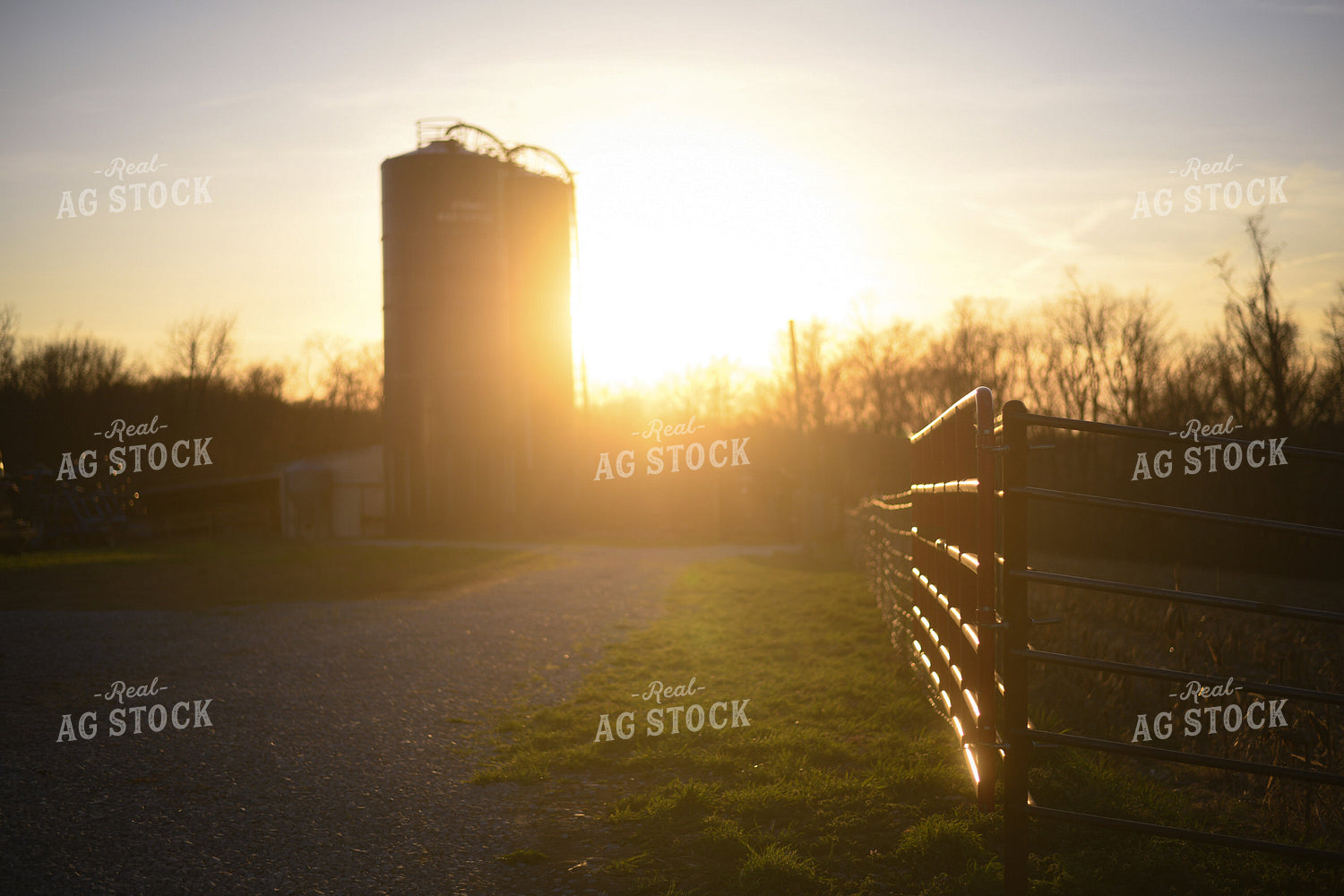 Sunset on the Farm 191024