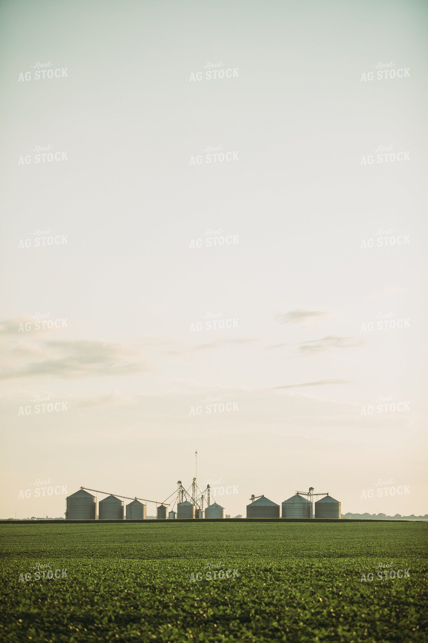 Grain Bins Over Corn and Soybean Field 6067