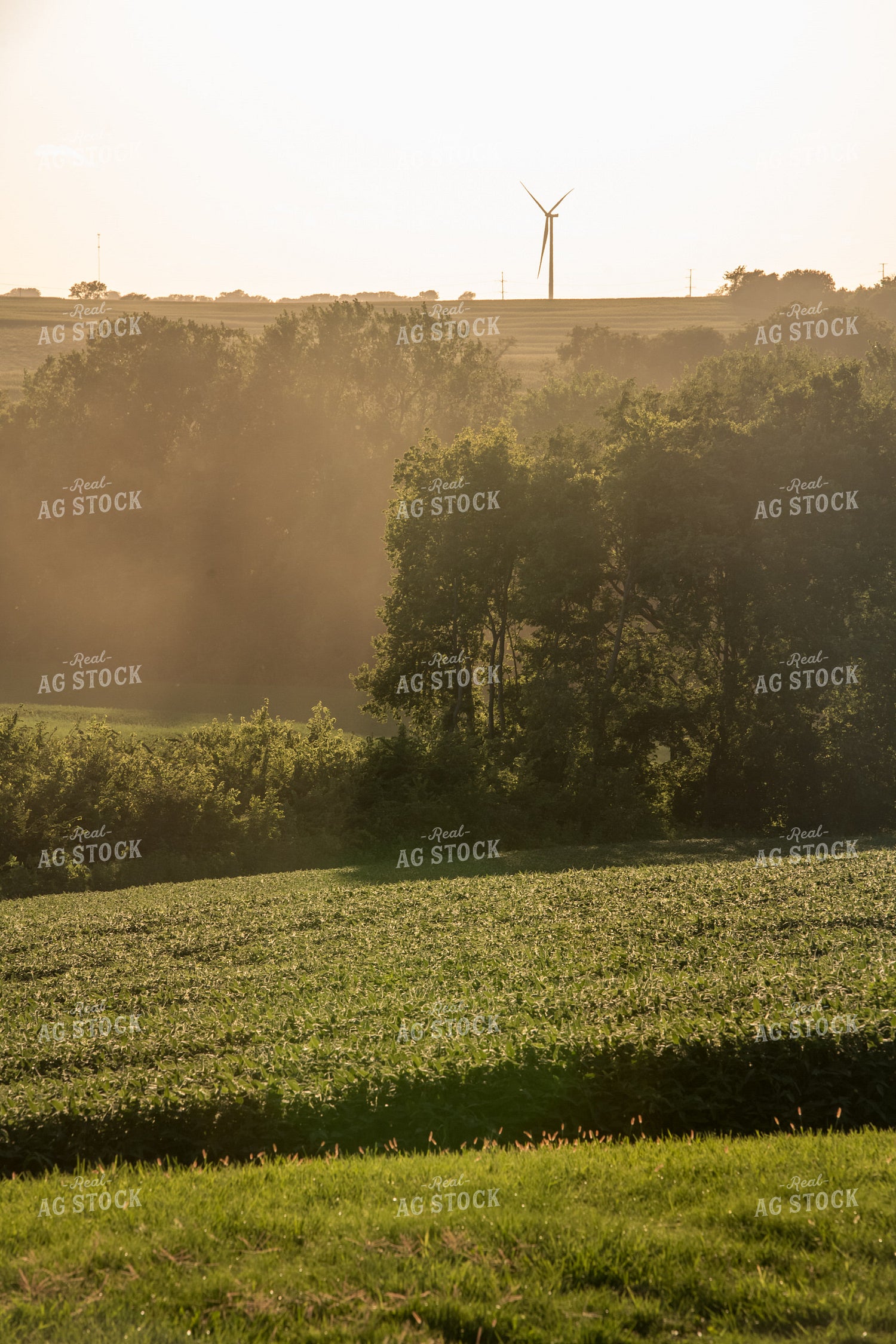 Scenic Summer Views 76467