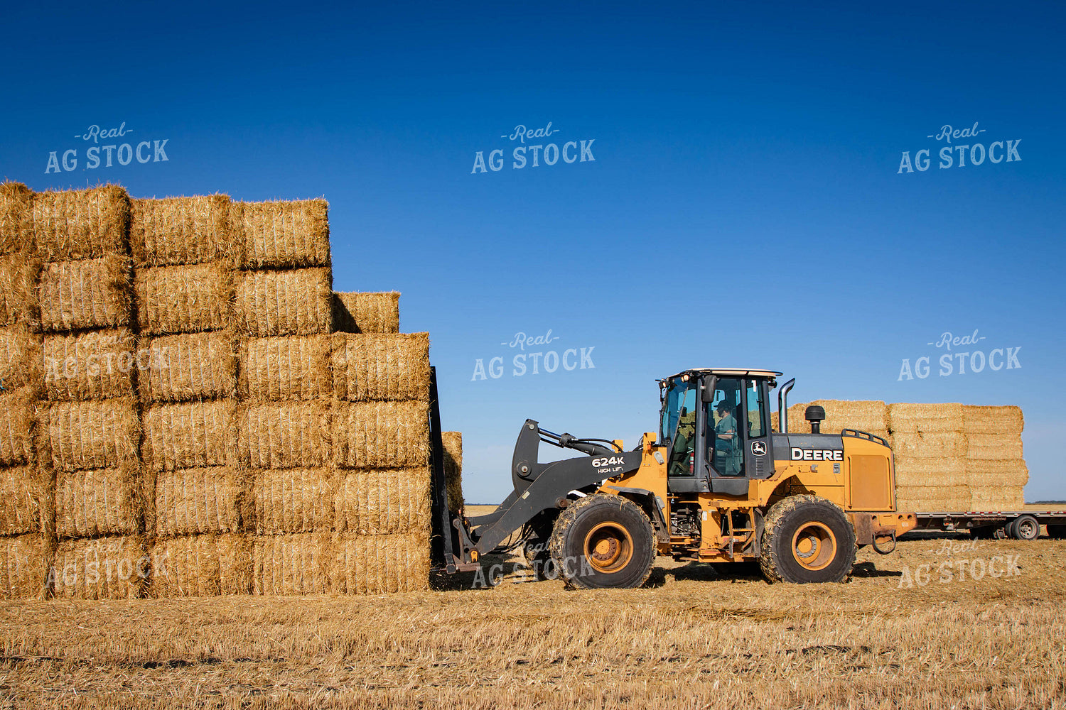 Stacking Wheat Straw Bales 152581