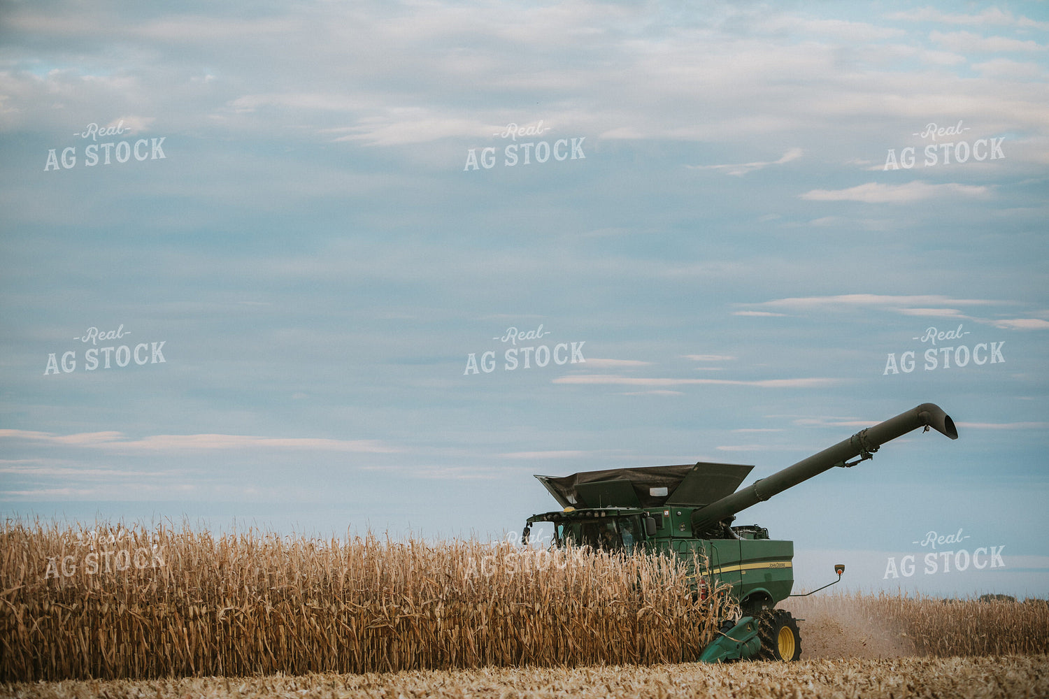 Corn Harvest 6930