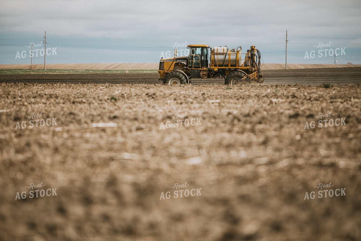 Spring Burndown - Preplant 5408