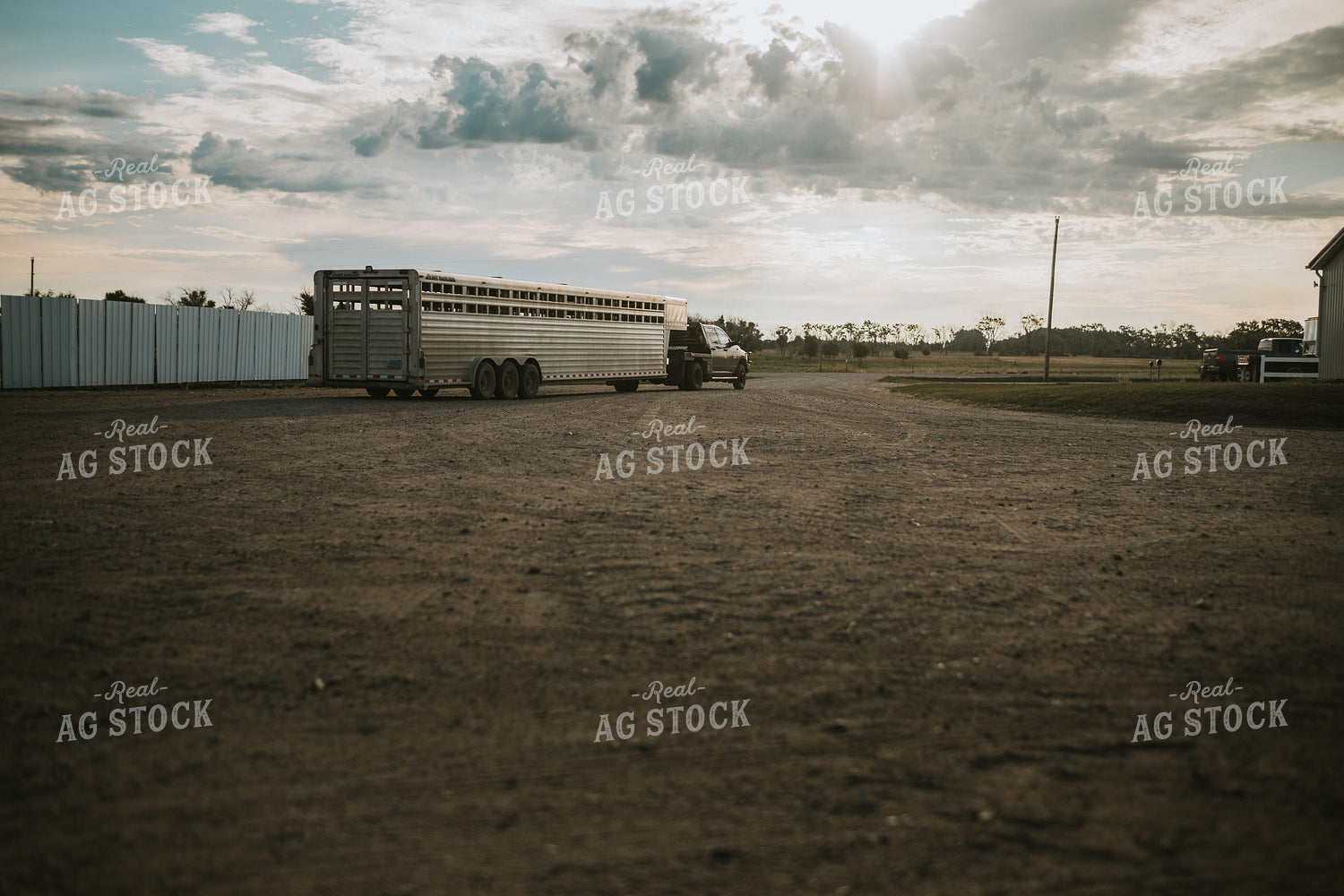 Truck and Livestock Trailer 6493
