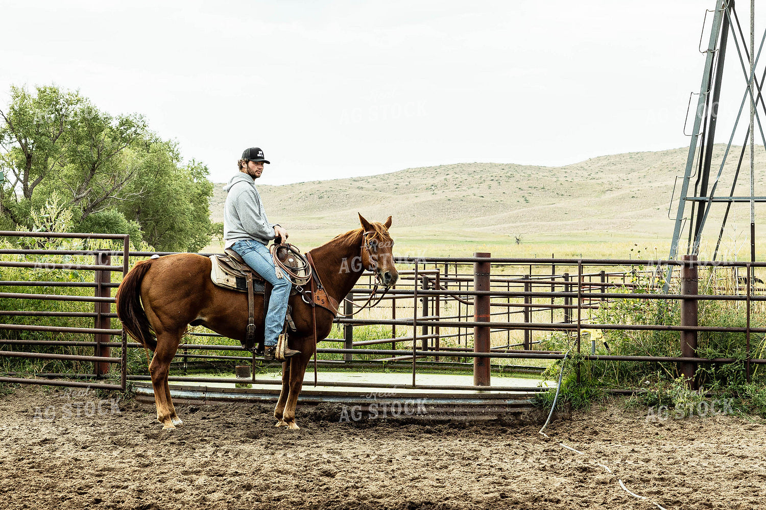 Rancher on Horse 114048