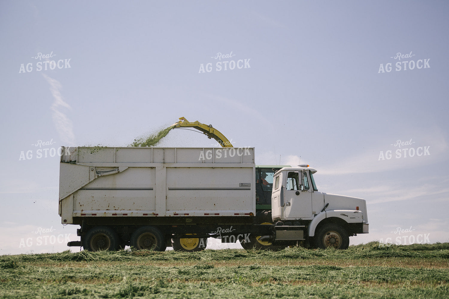 Harvesting Hay Silage 70063