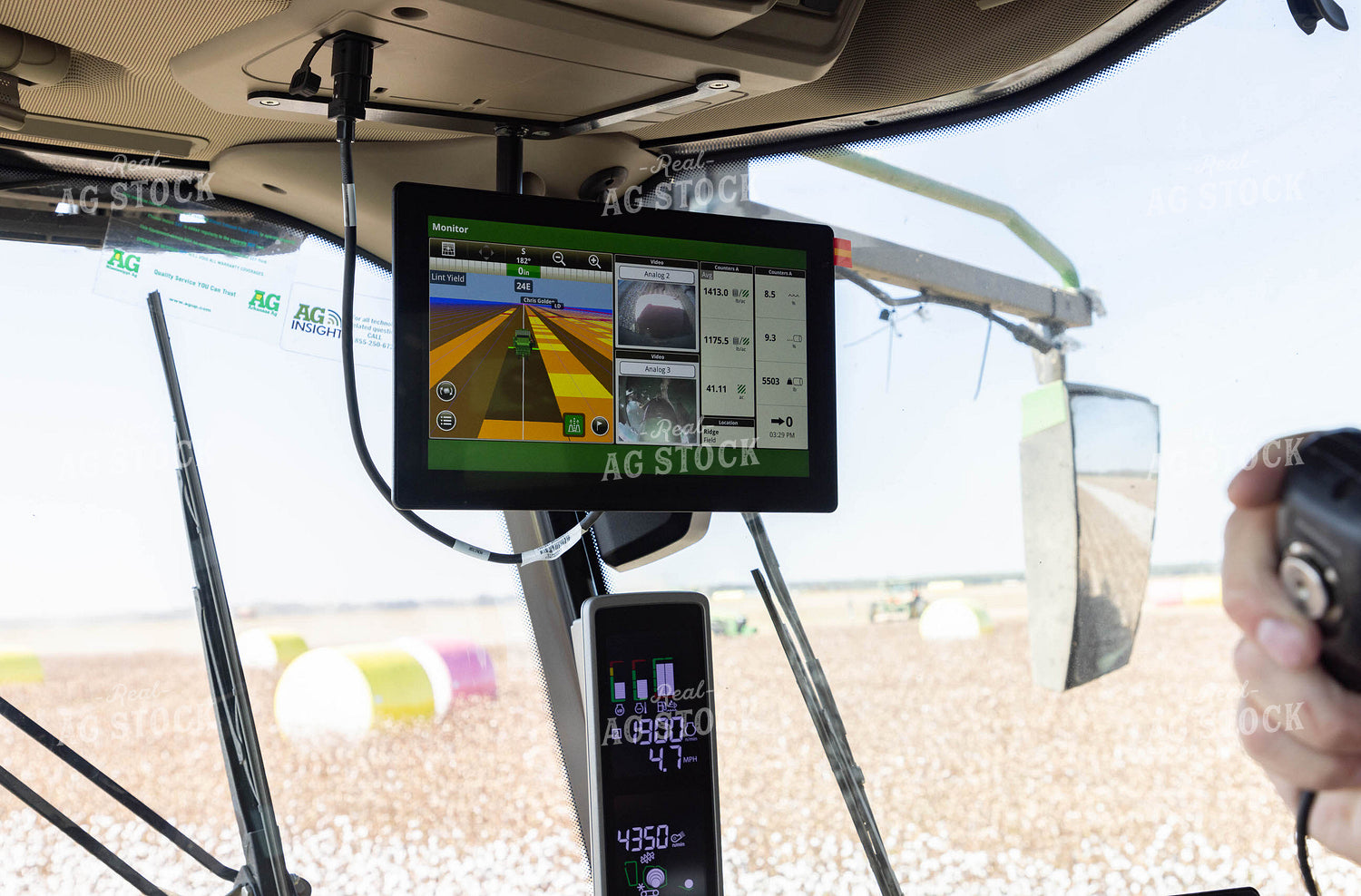 Cotton Harvest 79736