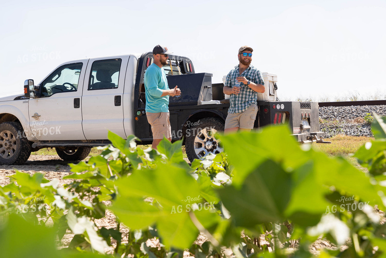 Farmers Leaning on Truck Talking 79678