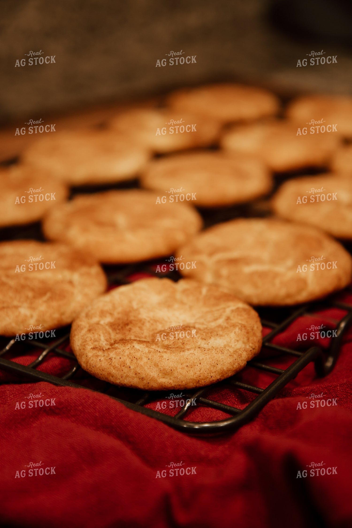 Cookies 67899