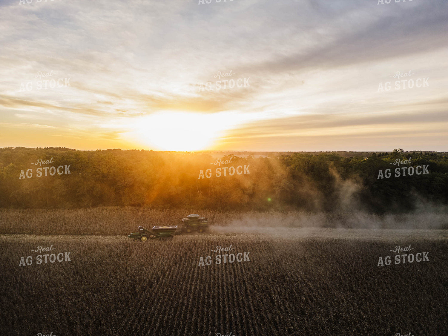 Aerial of Corn Harvest 115391