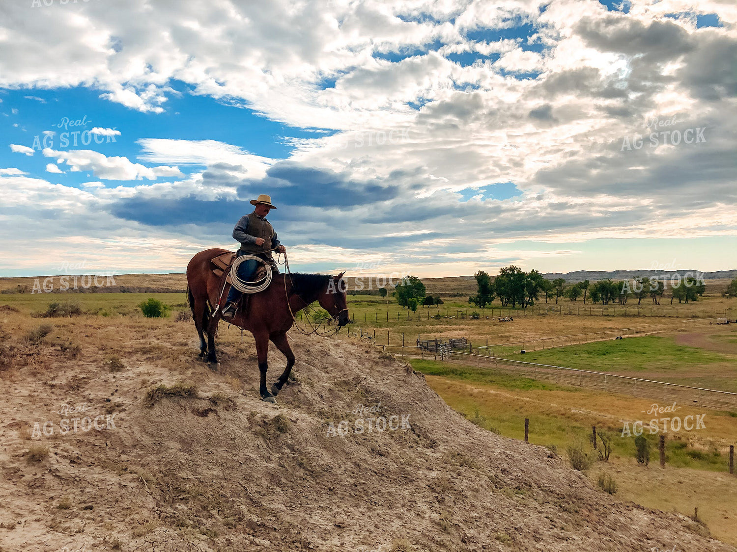 Rancher on Horseback 63007