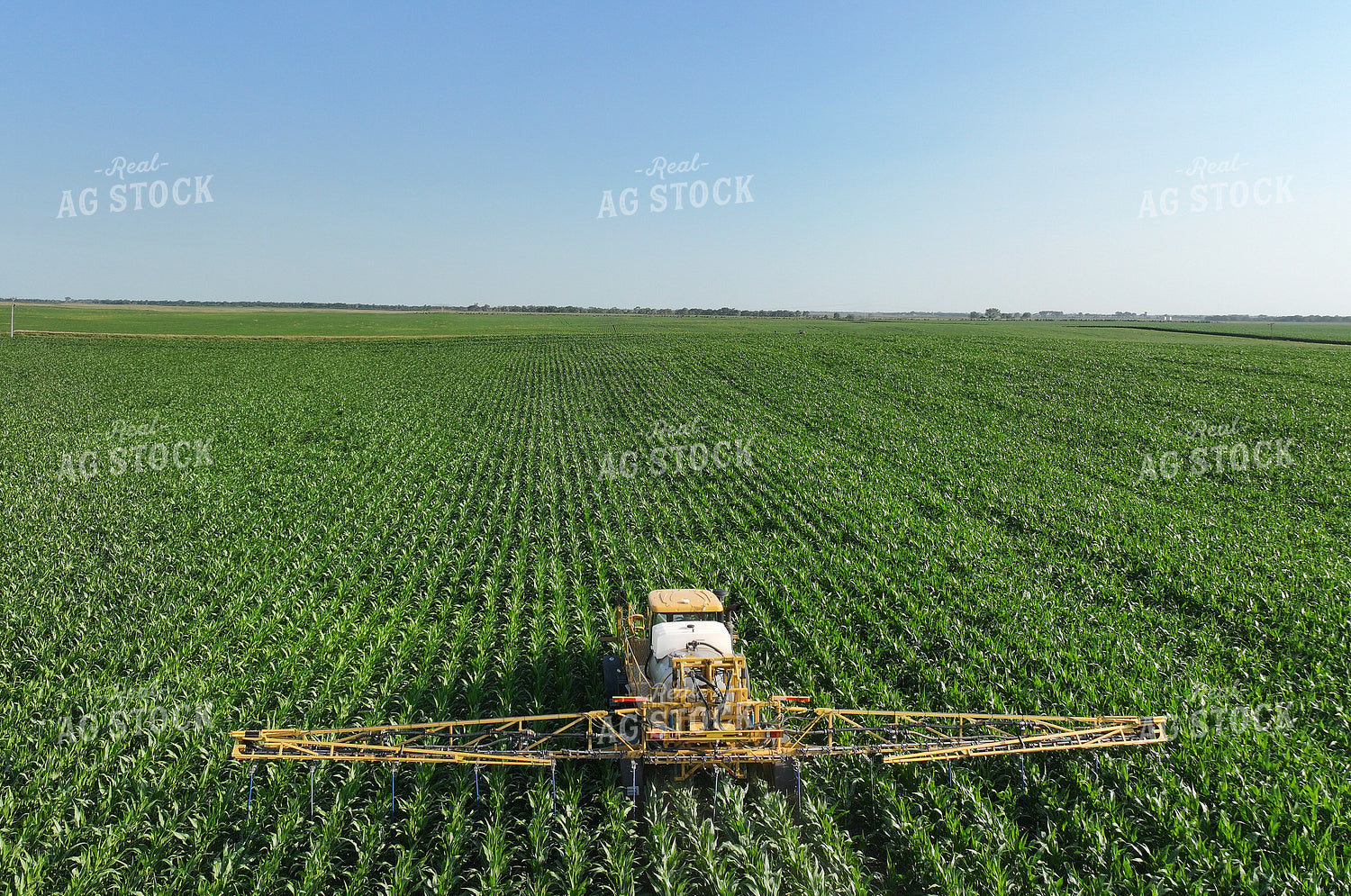 Spraying 141148