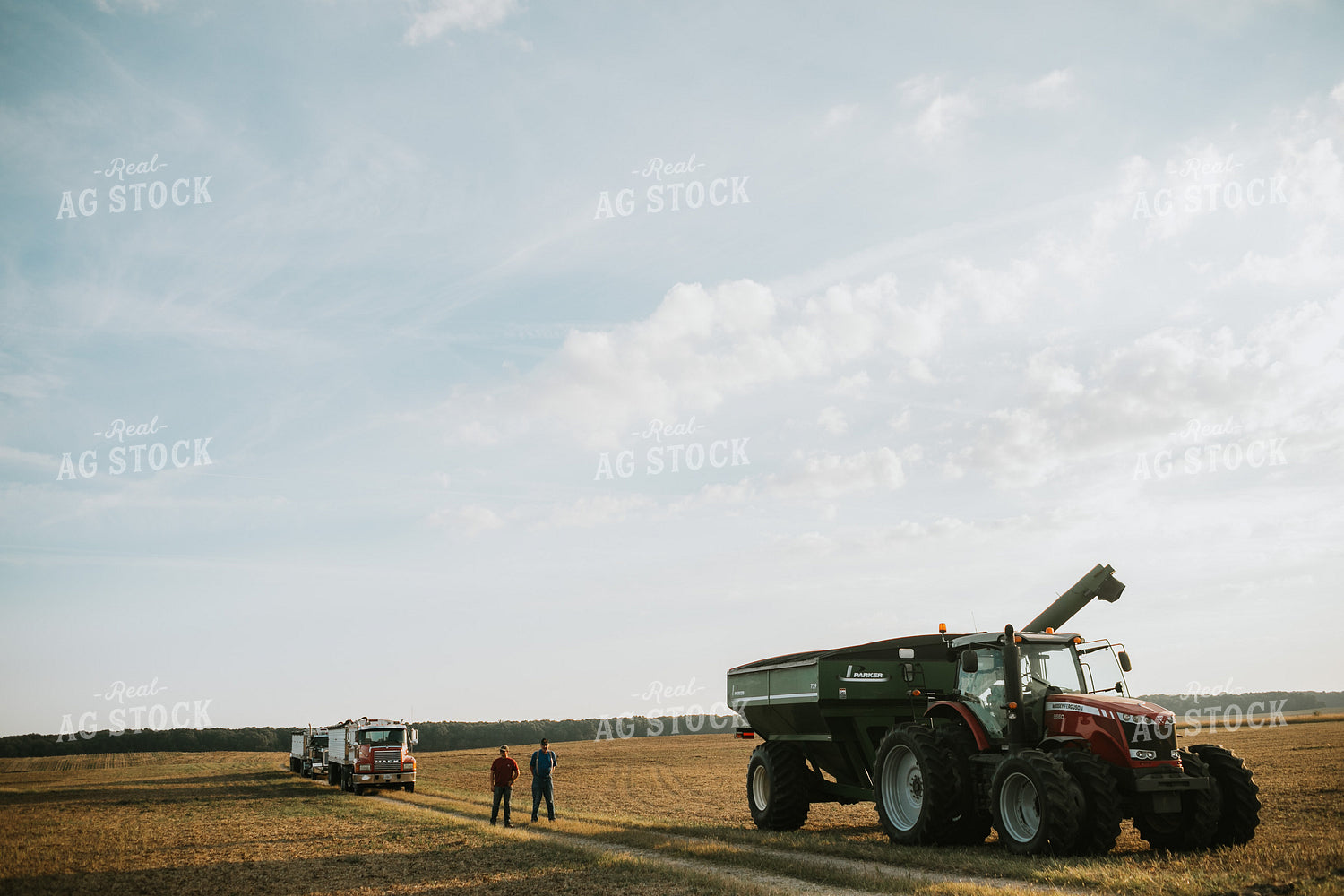 Farmers Talking During Soybean Harvest 4832