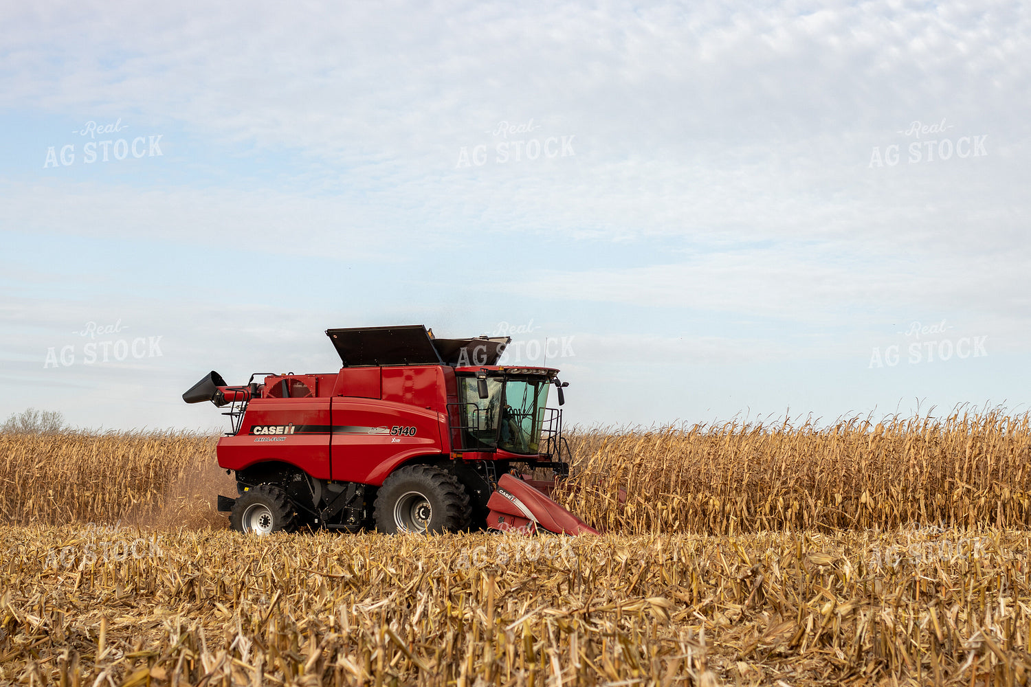 Combine Harvesting Corn 67144