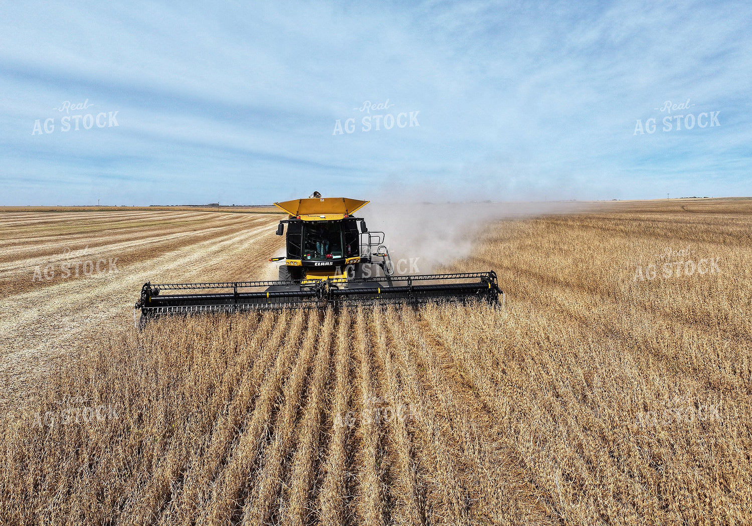 Wheat Harvest 141174