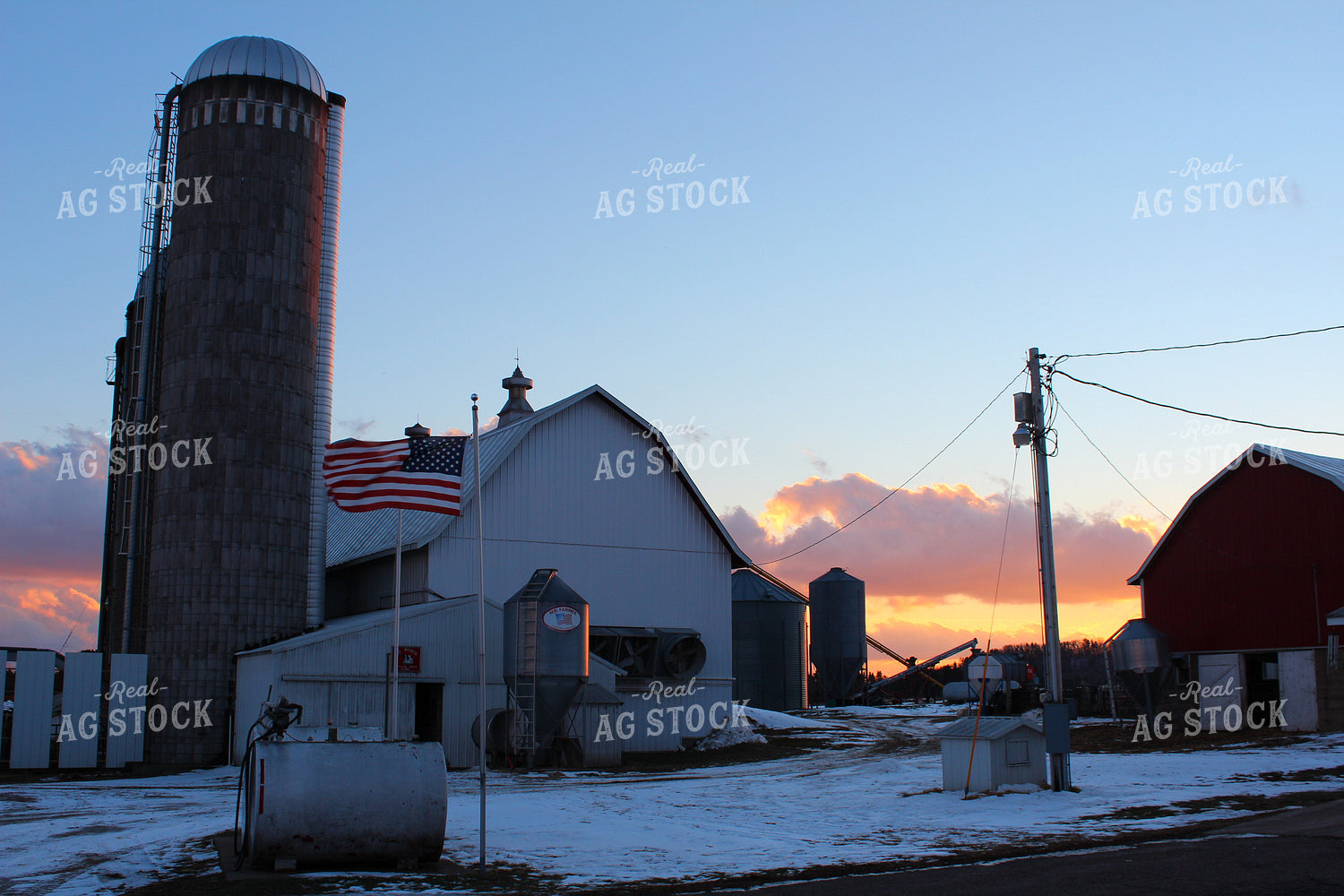 Dairy Farm 161093