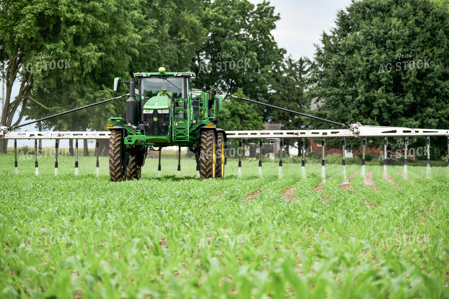 Self-Propelled Sprayer in Cornfield 86047