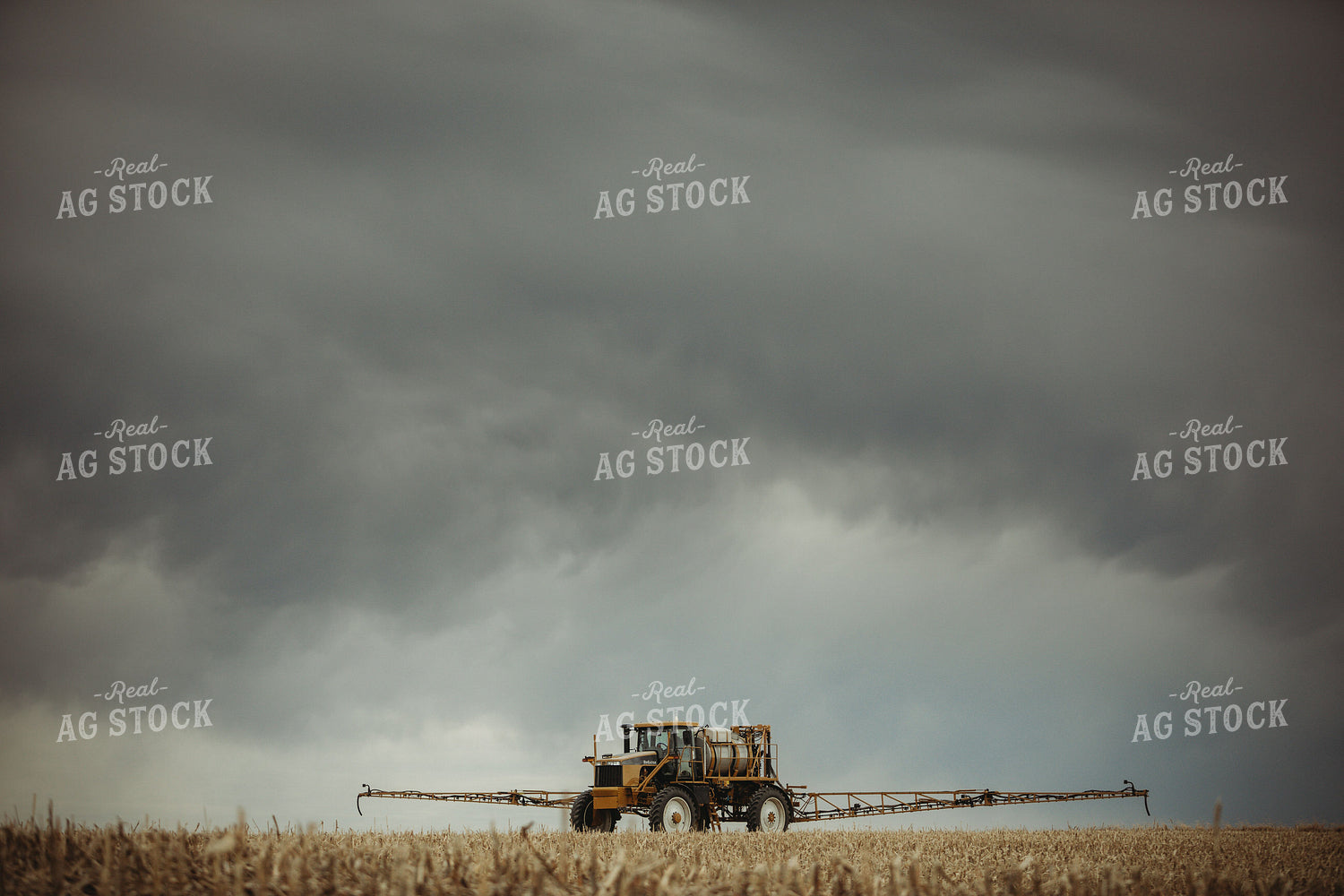 Self Propelled Sprayer Spraying in Corn Field 3664