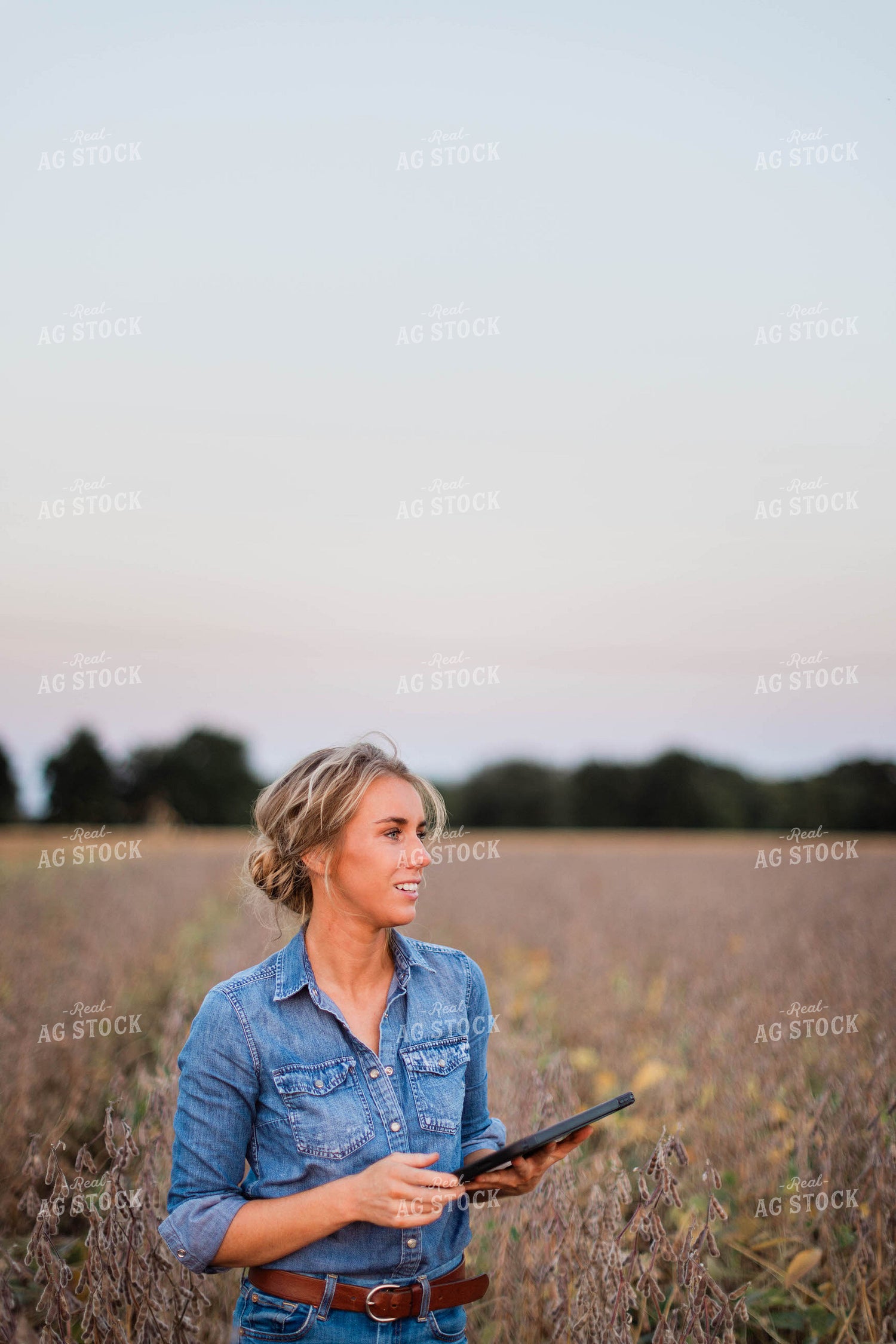 Female Farmer on Tablet in Field 8370