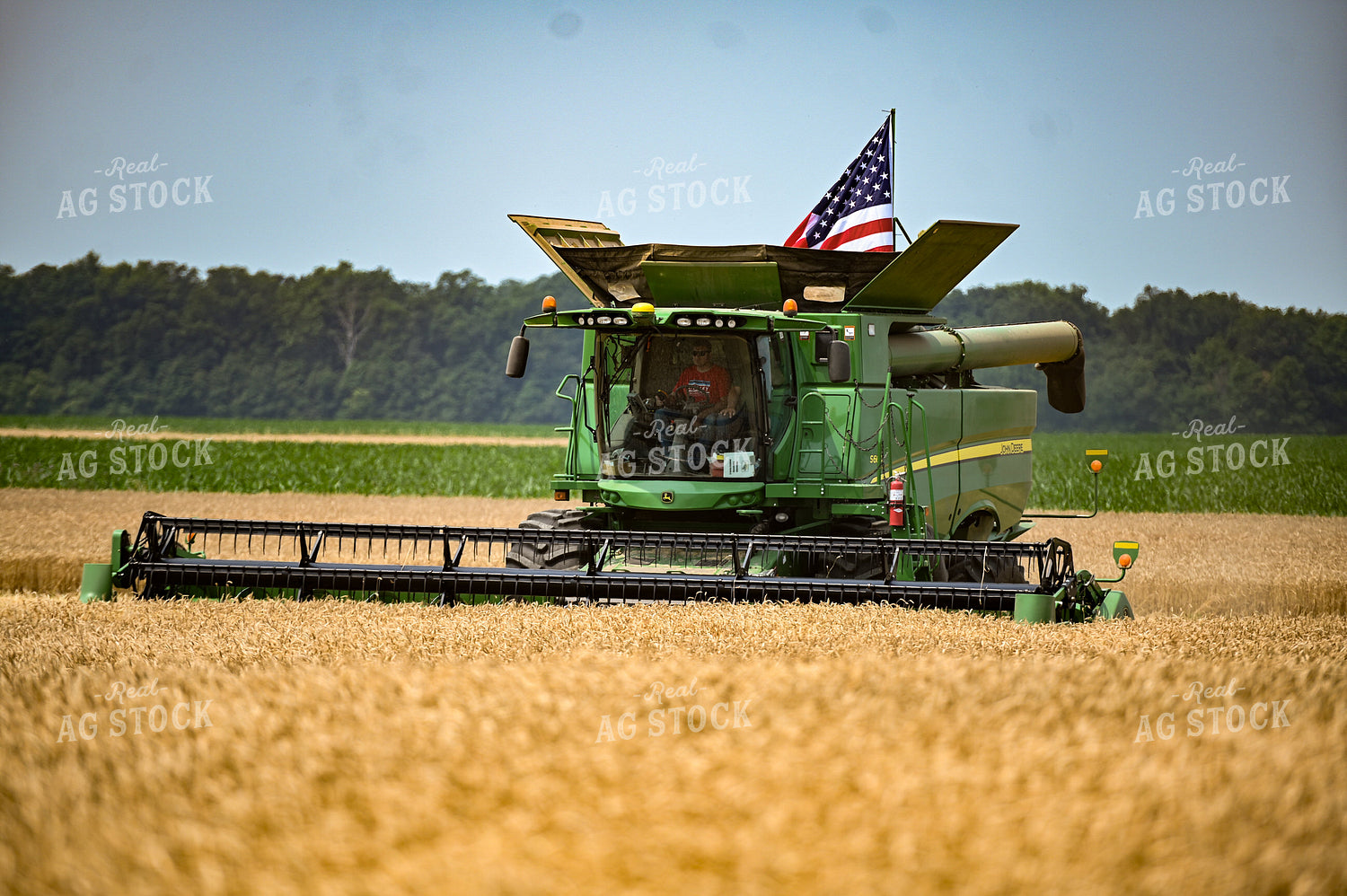 Wheat Harvest 90032