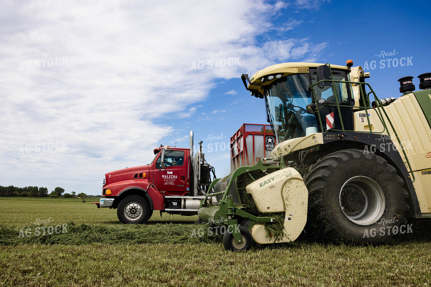 Harvesting Hay Silage 152444