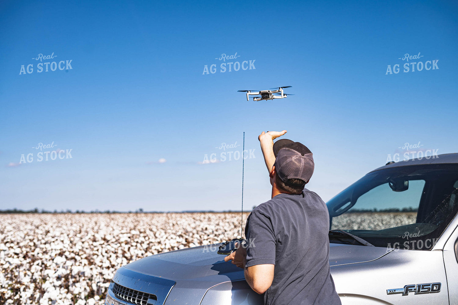 Farmer Flying Drone Over Cotton Field 91020