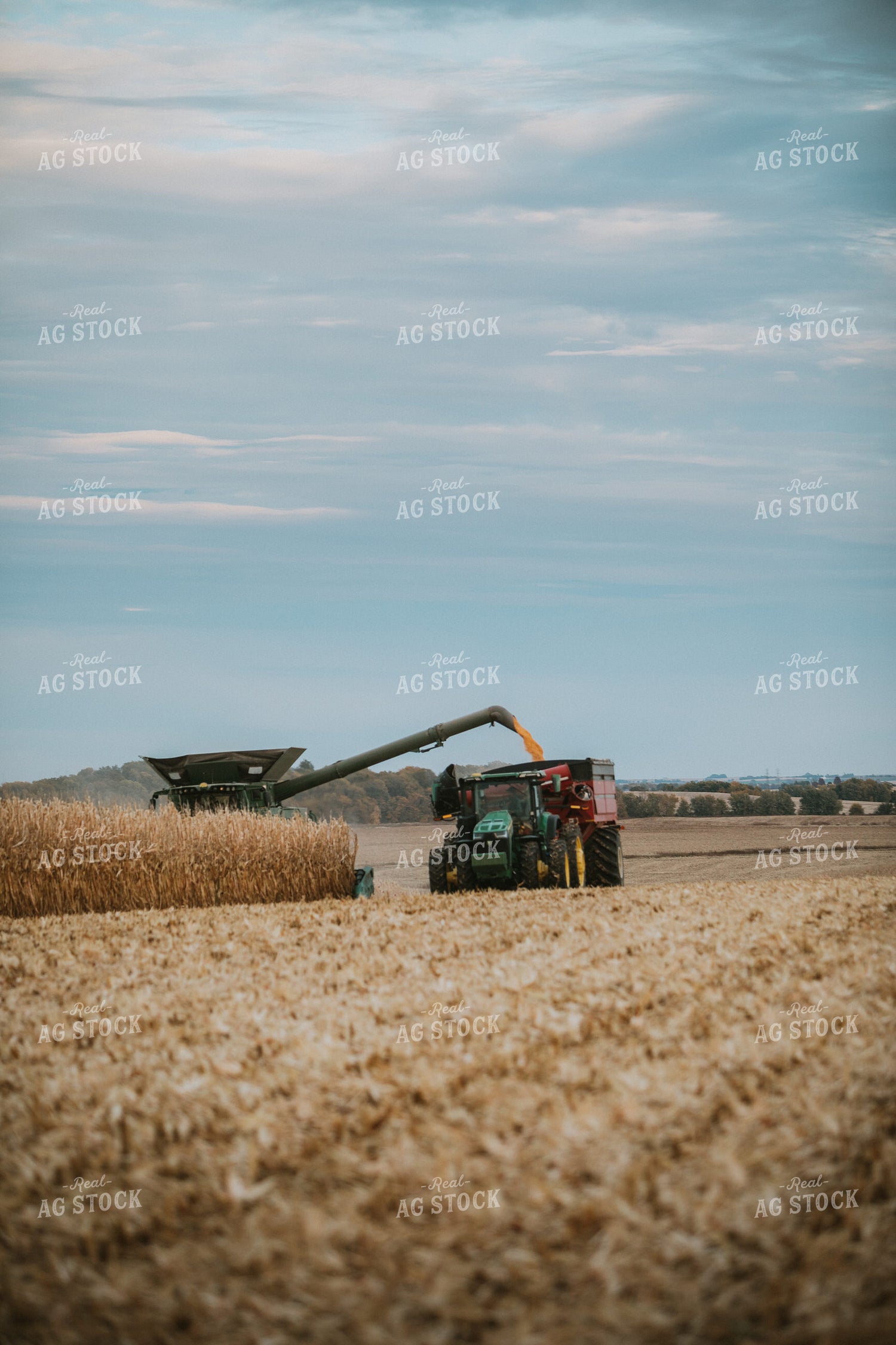 Combine Unloading Corn into Grain Cart 6933