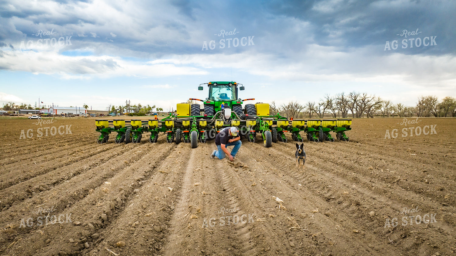 Farmer Checks Seed Depth Behind Planter with Farm Dog 56621